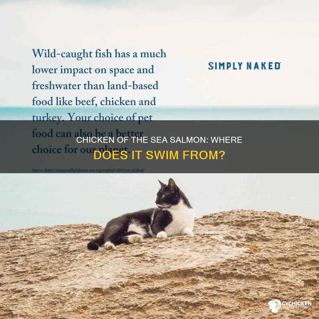 where does chicken of the sea salmon come from