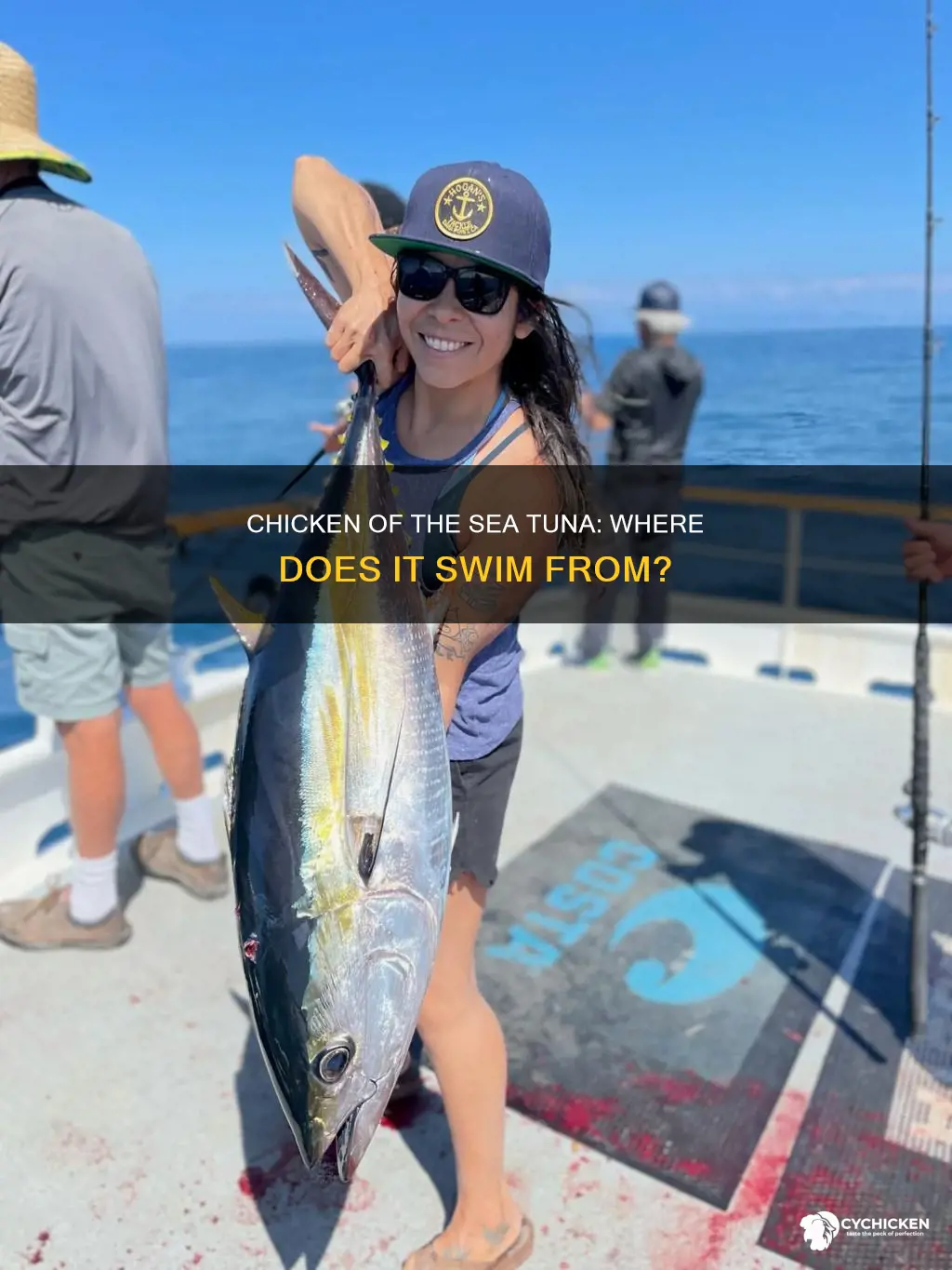 where does chicken of the sea tuna come from