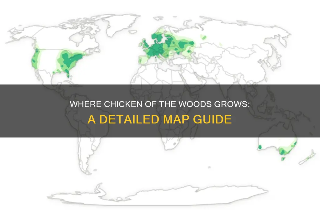 where does chicken of the woods grow map