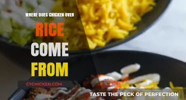 The Surprising Origins of Chicken Over Rice: A Global Culinary Journey