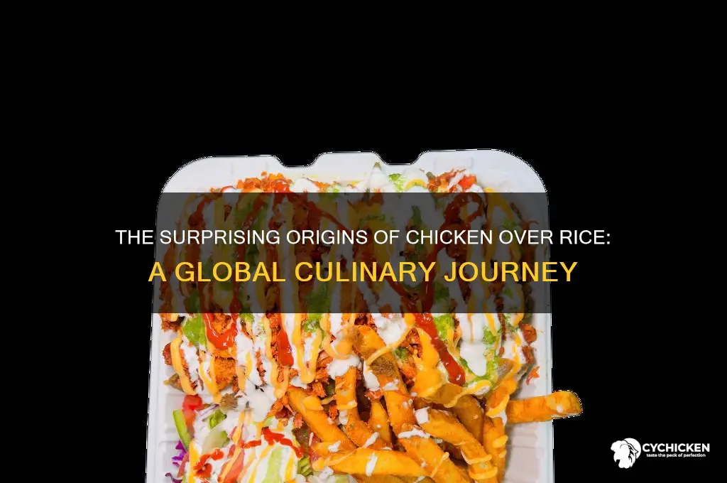 where does chicken over rice come from