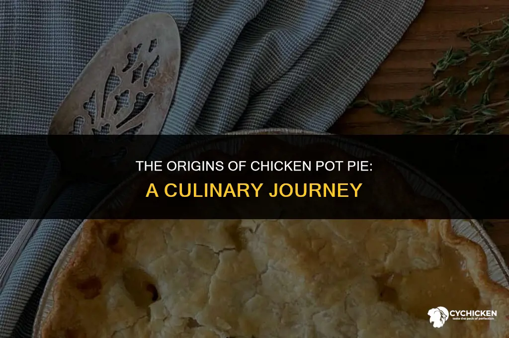 where does chicken pot pie in a pie come from