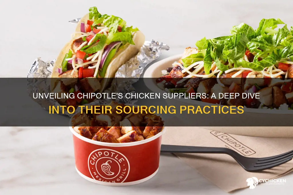 where does chipolte buy chicken from