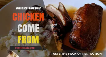 Dark Meat Chicken: Uncovering the Source and Science Behind Its Origin