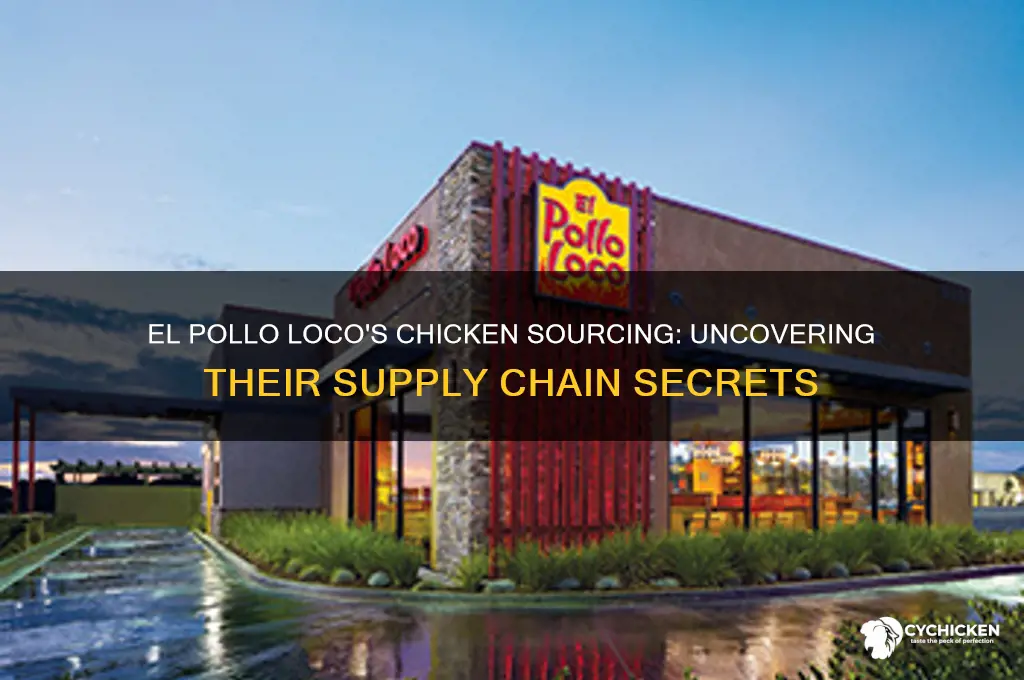 where does el pollo loco buy their chicken