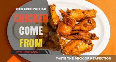 Unveiling El Pollo Loco's Chicken Origins: A Farm-to-Table Journey