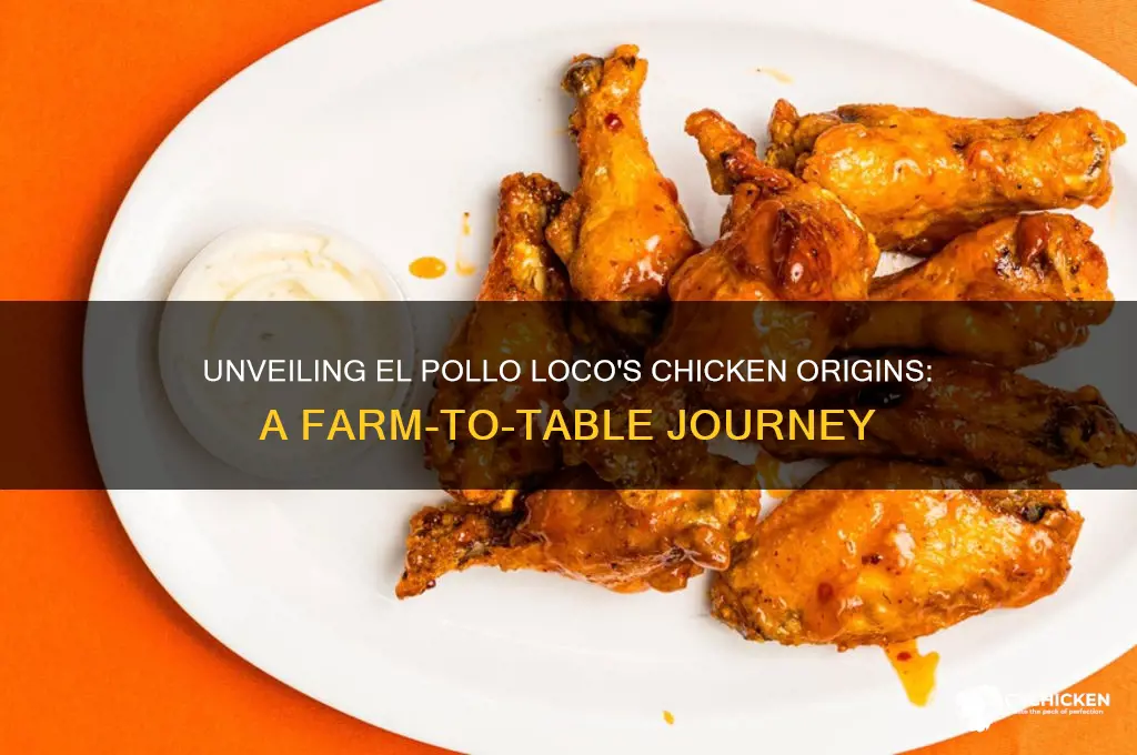 where does el pollo loco chicken come from