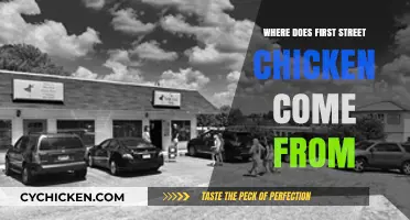 Unveiling the Origins of First Street Chicken: A Culinary Journey