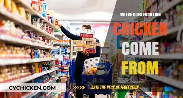 Where Does Food Lion Chicken Come From? A Supply Chain Overview