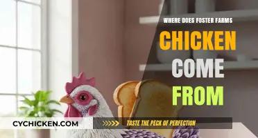 Where Does Foster Farms Chicken Come From? Tracing Its Origins