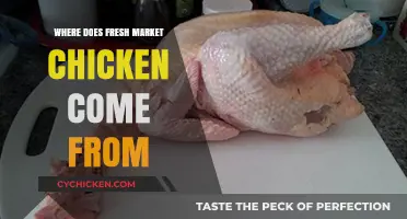 Where Does Fresh Market Chicken Come From? A Supply Chain Journey