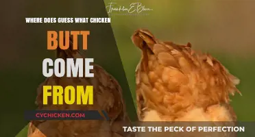 Unraveling the Origins of the 'Guess What? Chicken Butt' Catchphrase