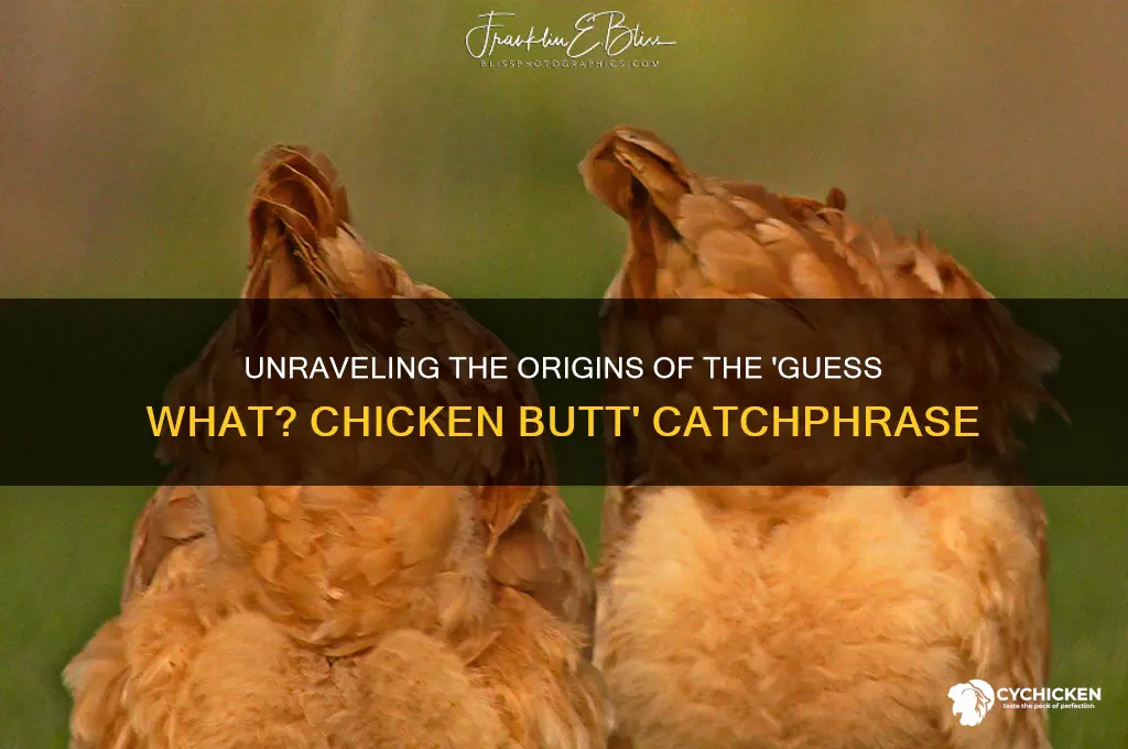 where does guess what chicken butt come from