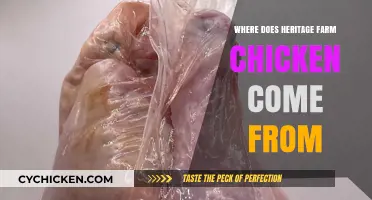Exploring the Origins of Heritage Farm Chicken: A Farm-to-Table Journey