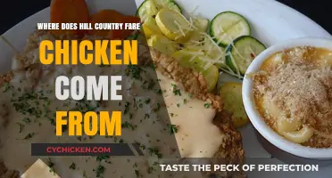 Unveiling the Origins of Hill Country Fare Chicken: A Detailed Journey