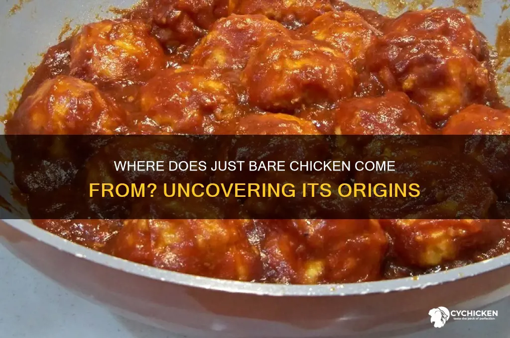 where does just bare chicken come from