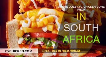 KFC's South African Chicken: The Source Unveiled