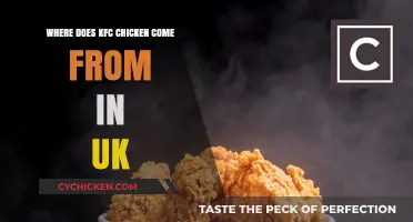 Uncovering the UK's KFC Chicken Supply Chain: Origins Explained