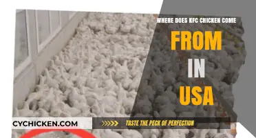Uncovering the Source: Where Does KFC Chicken Come From in the USA?