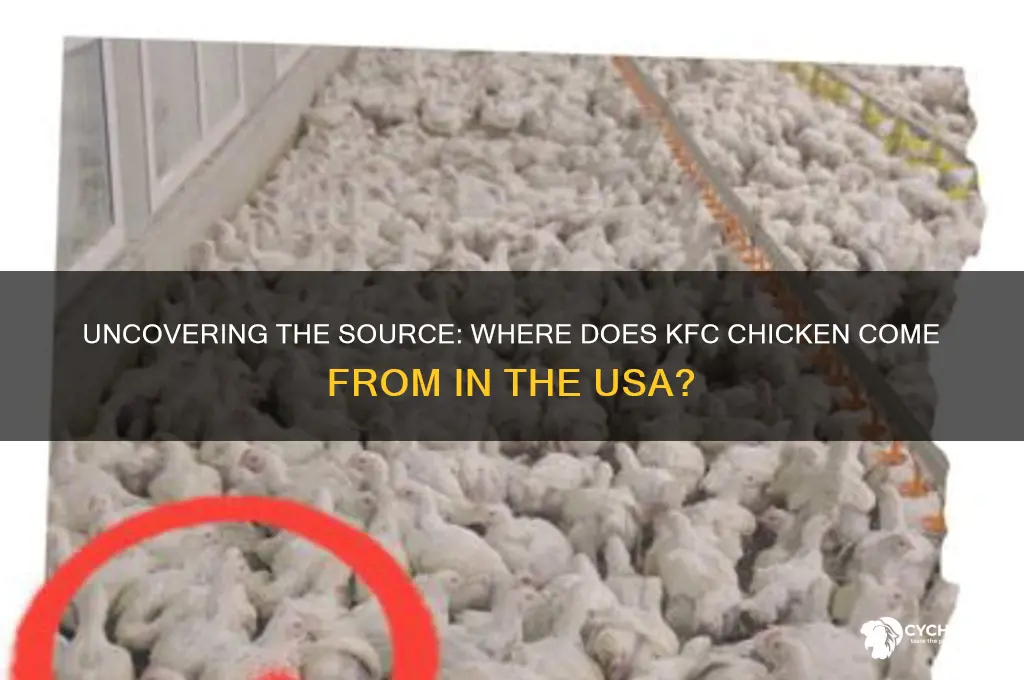 where does kfc chicken come from in usa