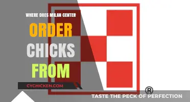 Milan Center's Chick Supplier: Unveiling the Source of Their Poultry Orders