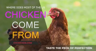 Chicken Origins: Where Does America's Supply Come From?