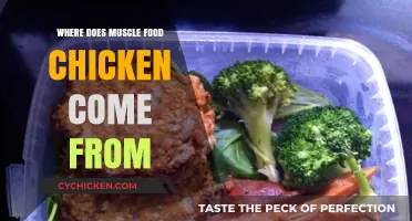 Where Does Muscle Food Chicken Come From? A Detailed Journey