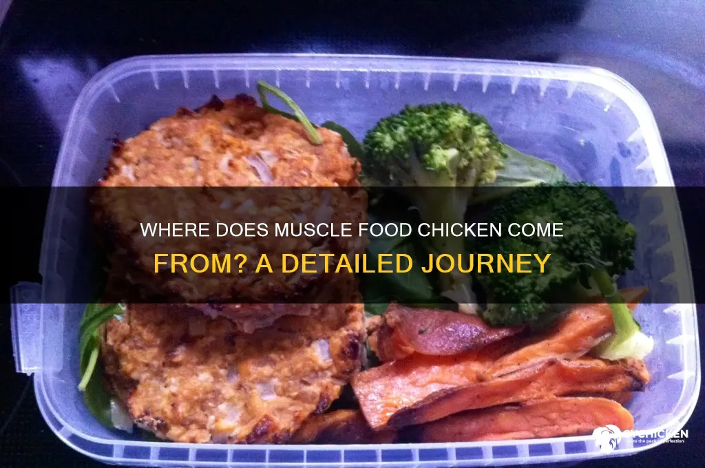 where does muscle food chicken come from