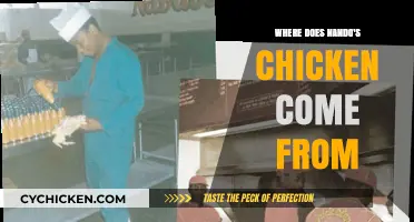 Unveiling Nando's Chicken Origins: A Journey from Farm to Flame-Grilled
