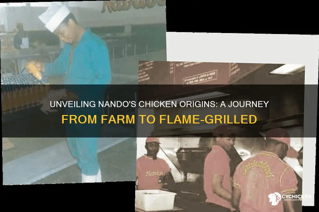 where does nando