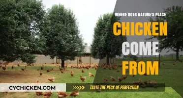 Nature's Place Chicken Origins: Farms, Practices, and Quality Explained