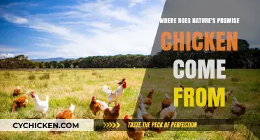 Where Does Nature's Promise Chicken Come From? A Farm-to-Table Journey