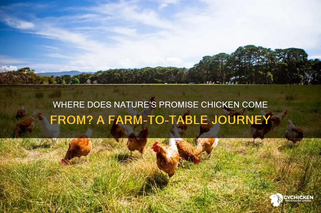 where does nature