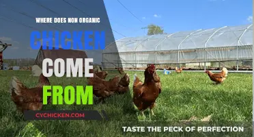 The Surprising Origins of Non-Organic Chicken: A Farm-to-Table Journey