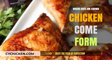 Unveiling the Origins of NW Grown Chicken: A Farm-to-Table Journey