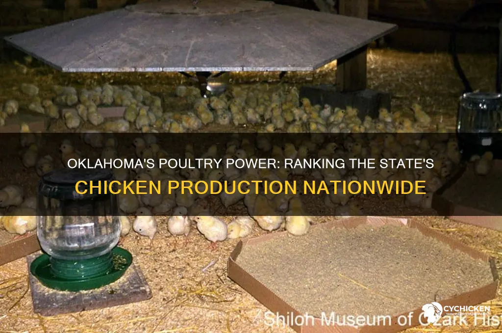 where does oklahoma rank in chicken production