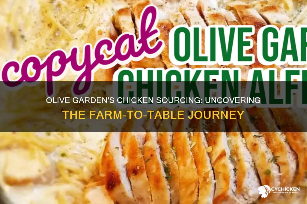 where does olive garfed source its chicken