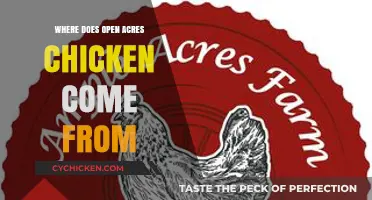 Where Does Open Acres Chicken Come From? A Farm-to-Table Journey
