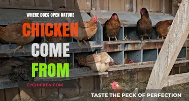 Unveiling the Origins of Open Nature Chicken: A Farm-to-Table Journey