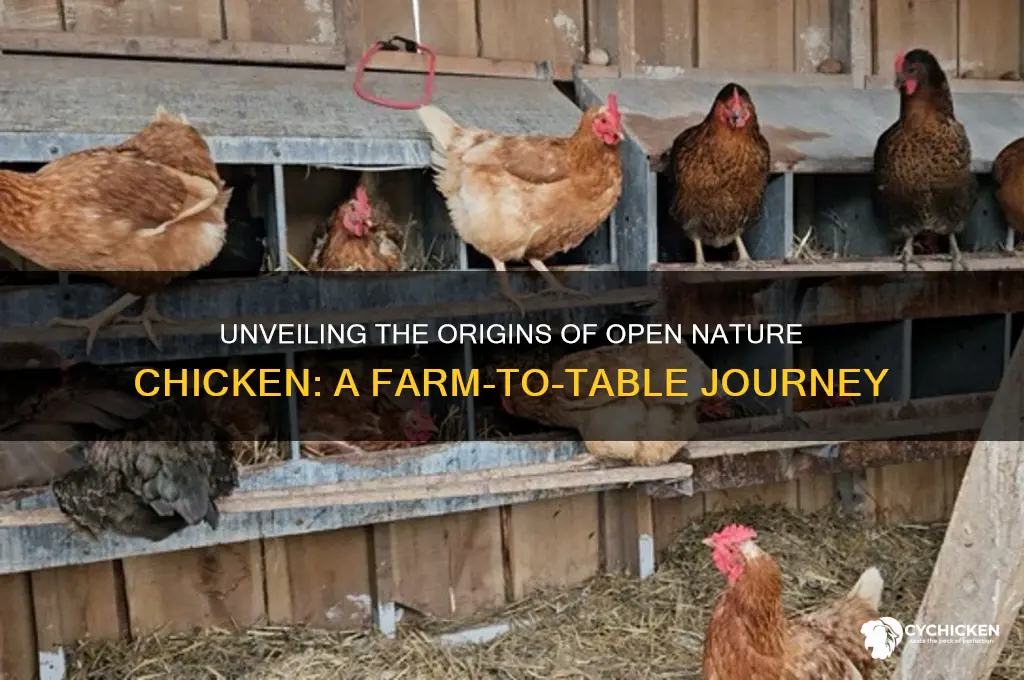 where does open nature chicken come from