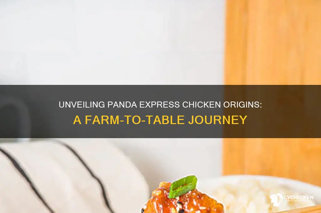 where does panda express chicken come from