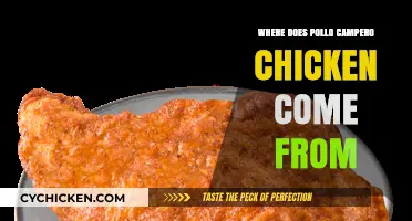 Exploring the Origins of Pollo Campero's Famous Chicken Recipe