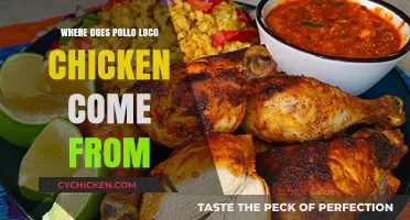 Exploring the Origins of Pollo Loco's Famous Chicken