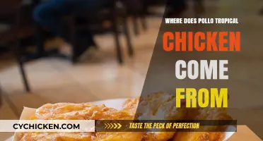 Where Does Pollo Tropical Chicken Come From? A Detailed Origin Story