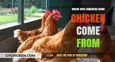 Where Does Ranchers Home Chicken Come From? Unveiling the Source