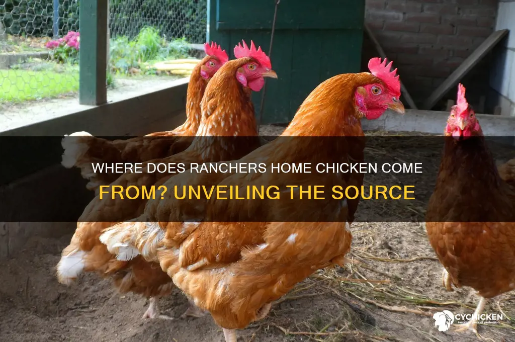 where does ranchers home chicken come from