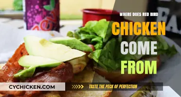 Unveiling the Origins of Red Bird Chicken: A Farm-to-Table Journey