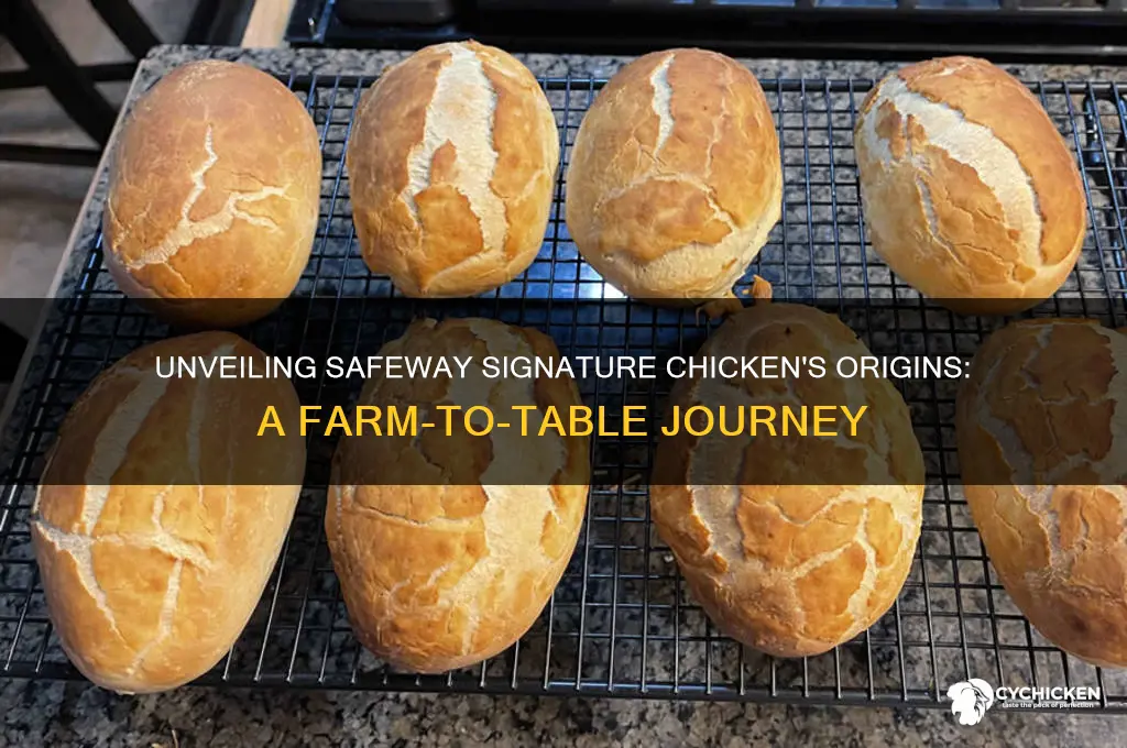 where does safeway signature chicken come from