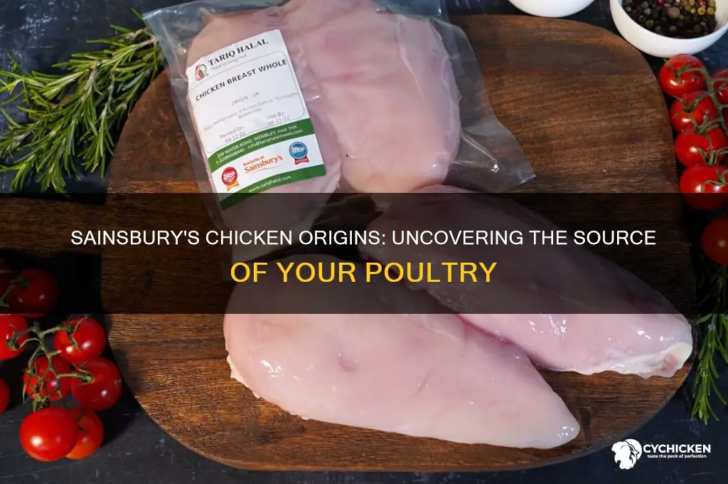 where does sainsbury