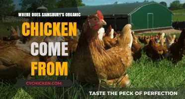 Sainsbury's Organic Chicken Origins: Farms, Standards, and Supply Chain Explained